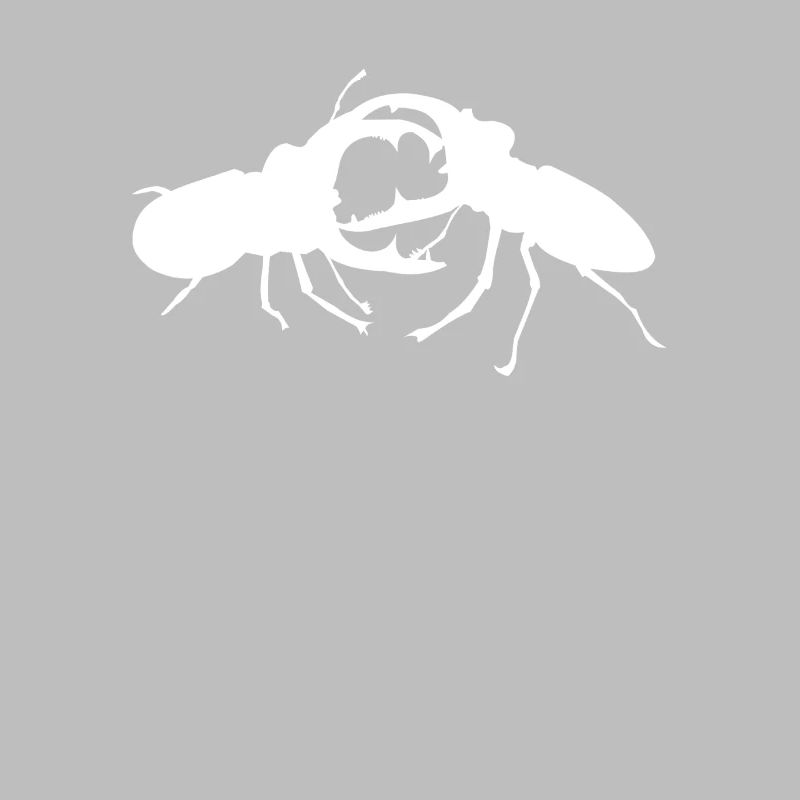 Lutte contre les insectes cerf-volant