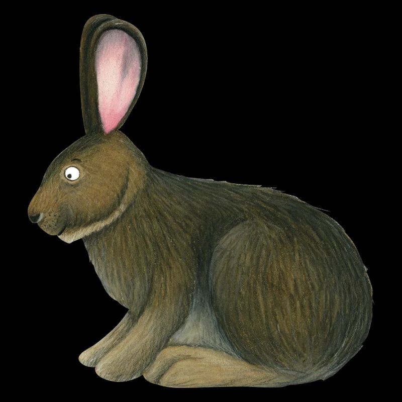 Prairie Rabbit