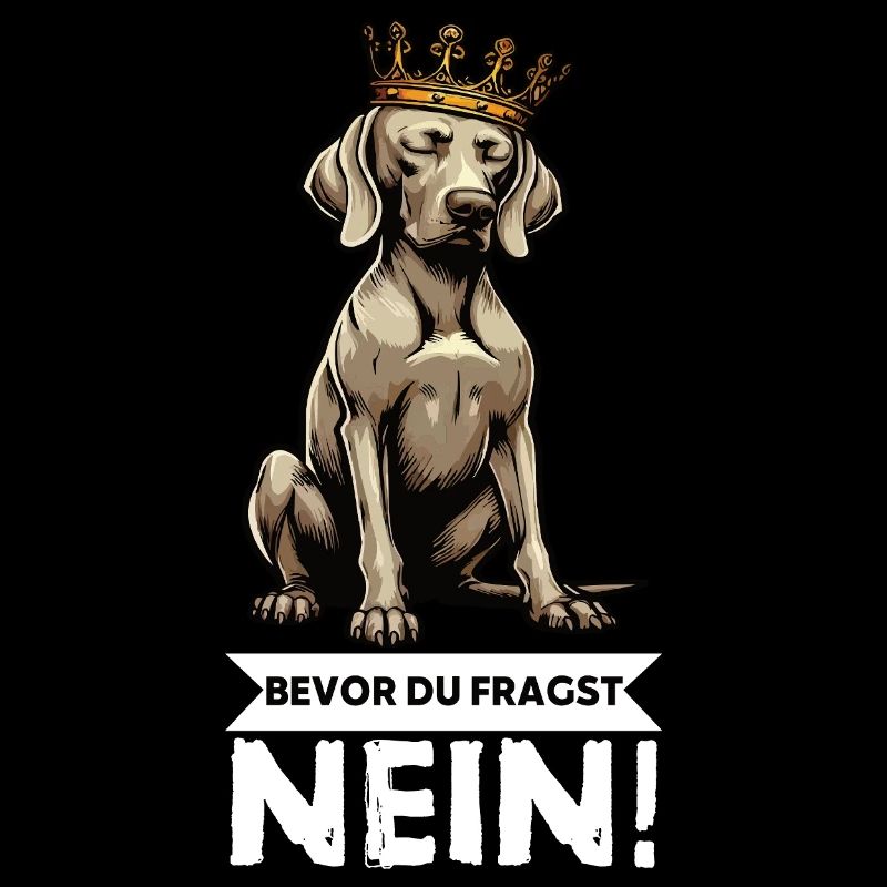 Before you ask: No Weimaraner Weimaraner owner