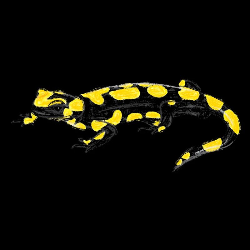 Feuersalamander / Fire Salamander I