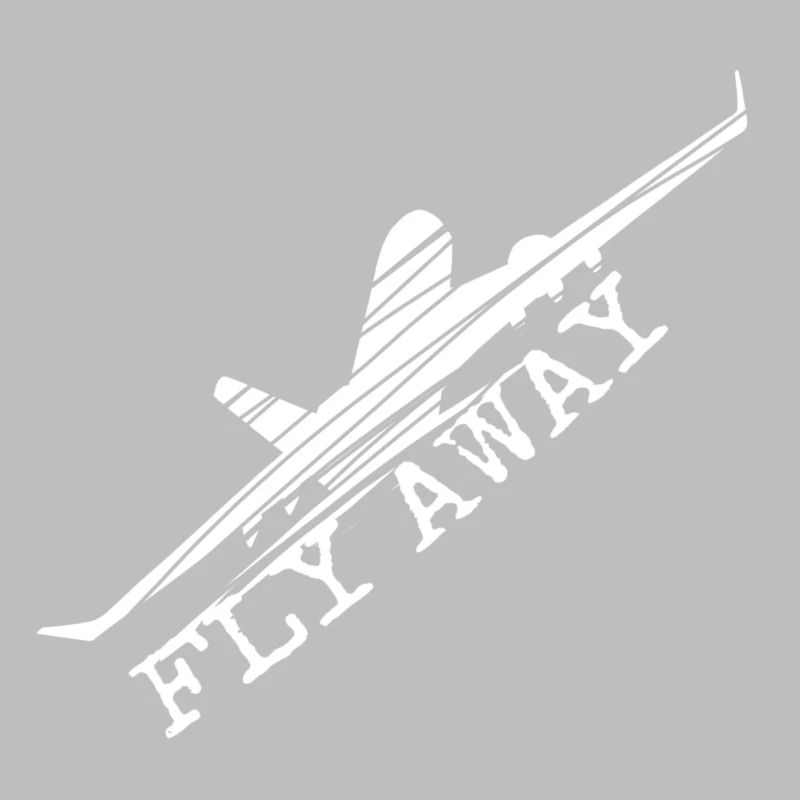 Flugzeug