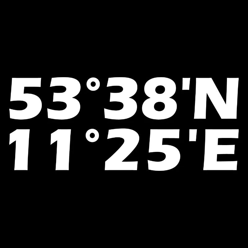 Schwerin coordinates