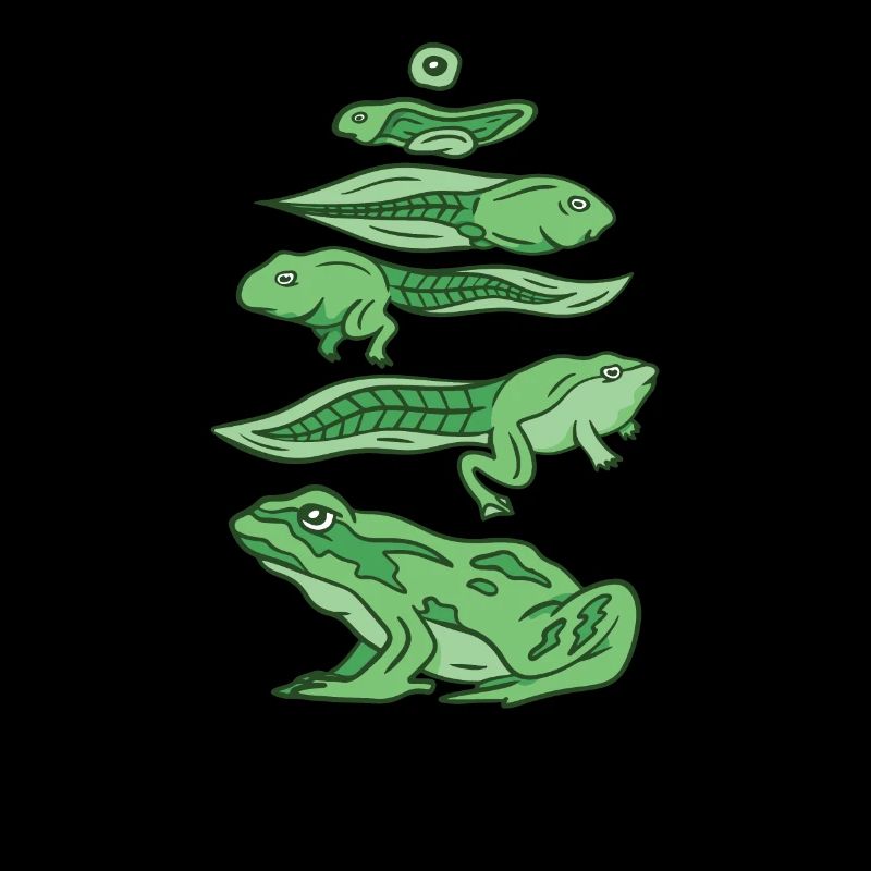 Frog evolution die Entstehung eines Frosch