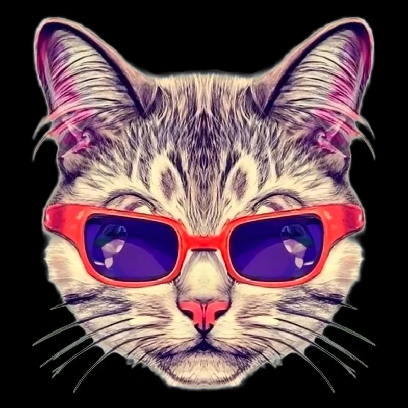 Edle Katze mit roter Sonnenbrille