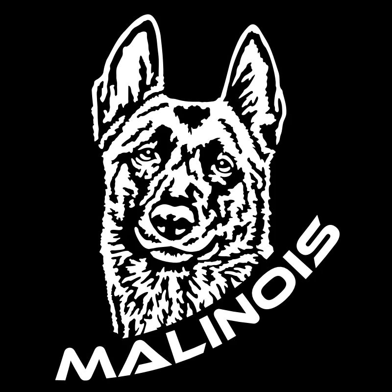 424 Malinois