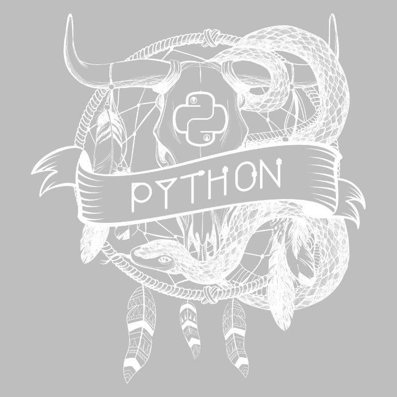 python Programmiersprache technologie