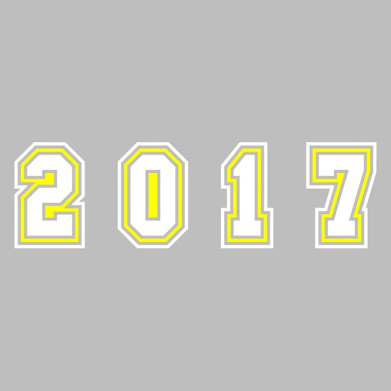 2017 Year Number
