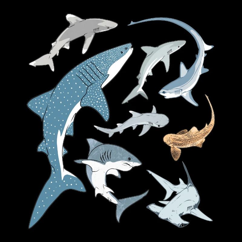 Types de requins Espèces de requins