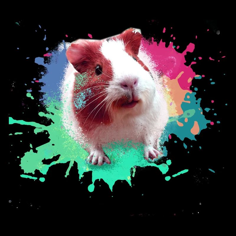 Cochons d’Inde, graffiti, peinture, coloré