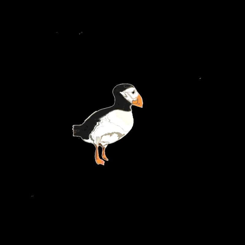 Papageientaucher