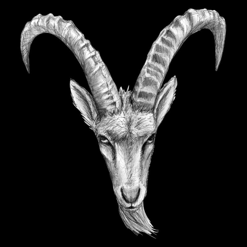 steinbock
