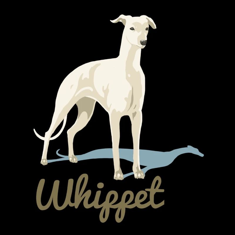 Whippet