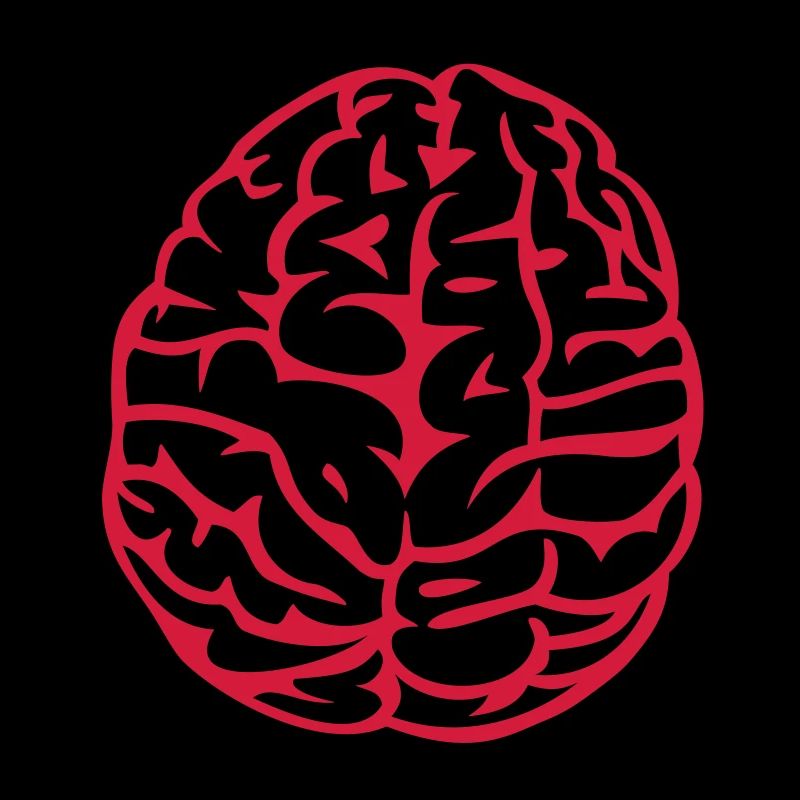 brain