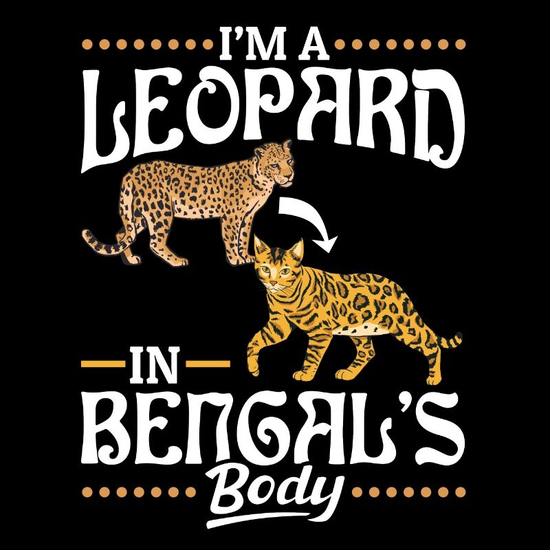Léopard dans le corps du Bengale Race de chat américain
