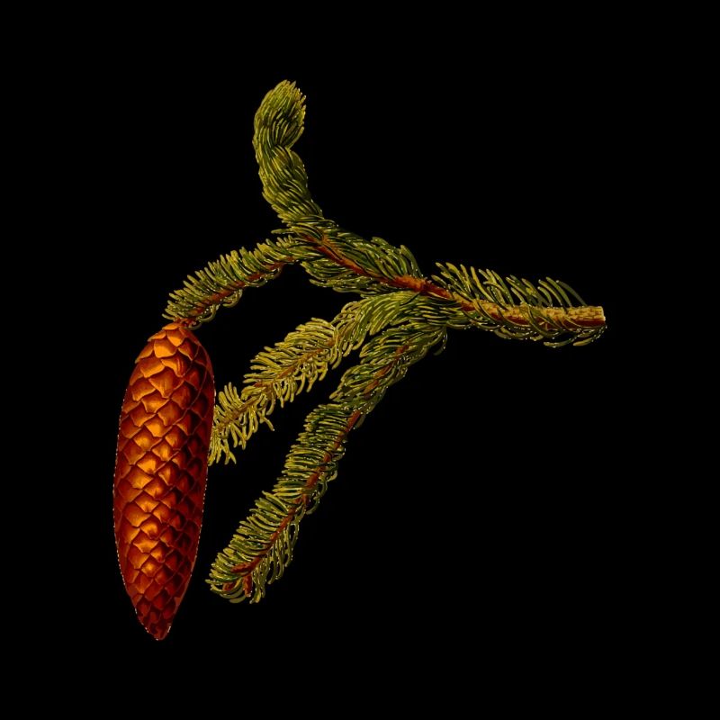 Pinecone
