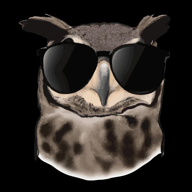 Eule mit Sonnenbrille Geschenkidee