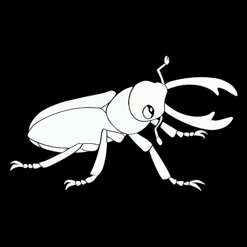 Insecte