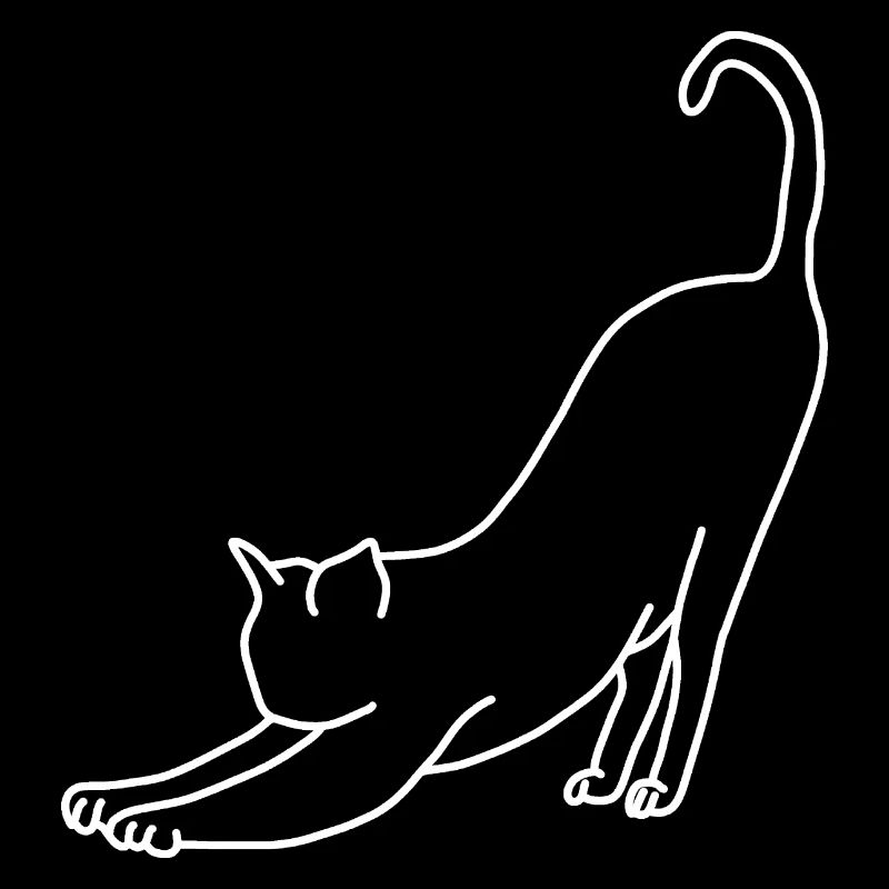 Chat qui étire l'animal