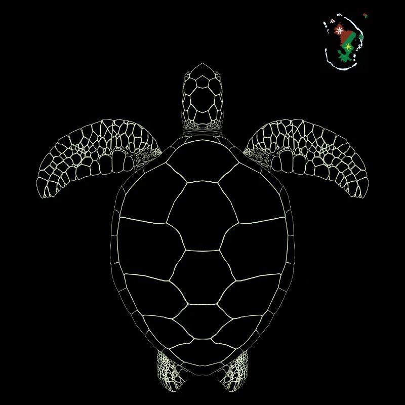 Maore - tortue de mayotte