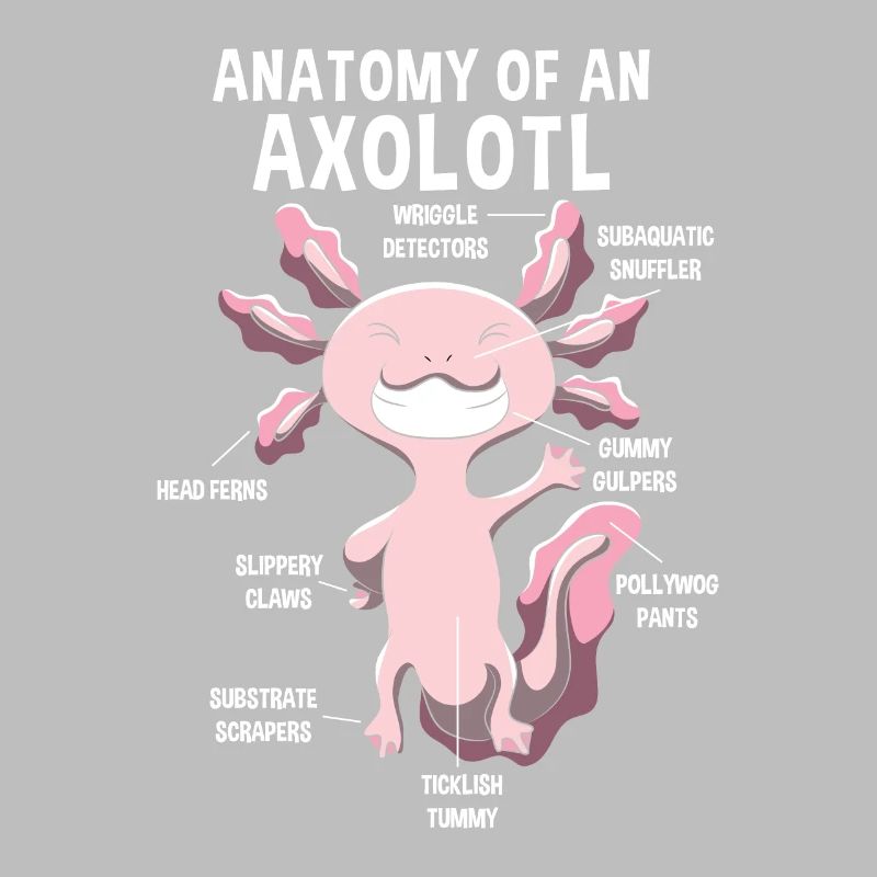 Anatomie eines Axolotls Lehrer Geschenk