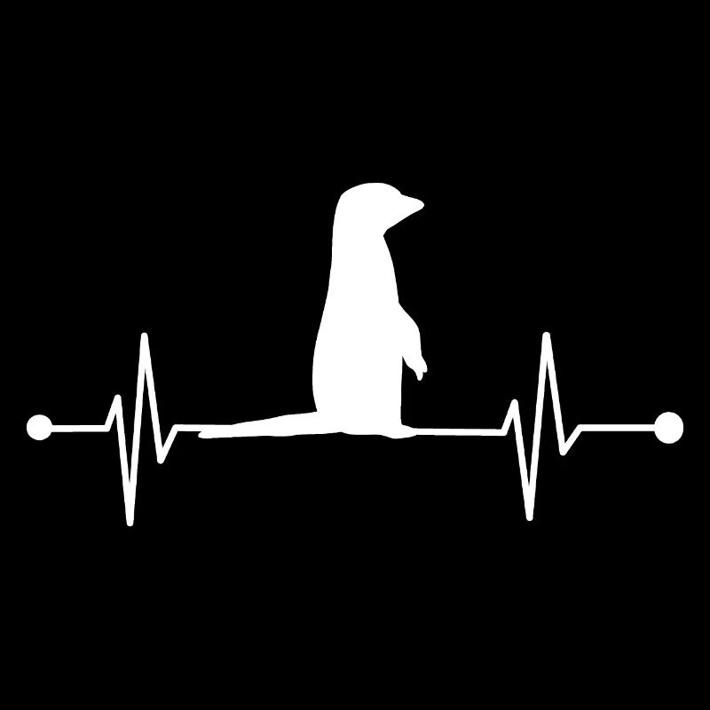 Battement de cœur de suricate
