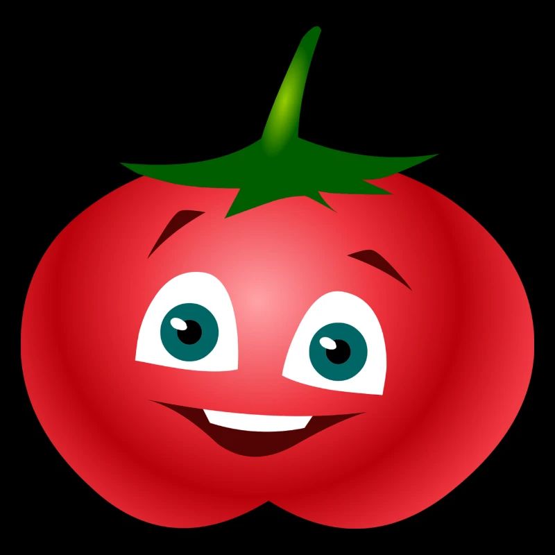 tomatoes tomato tomatoes veggie vegetables vegetables4