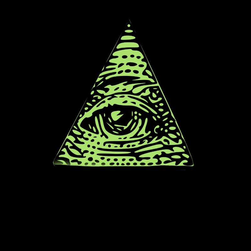 Illuminati Confirmed funny gift