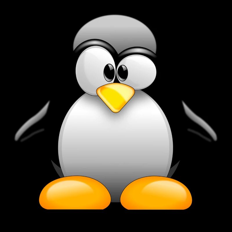 Klassischer Pinguin! Geschenkidee Idee