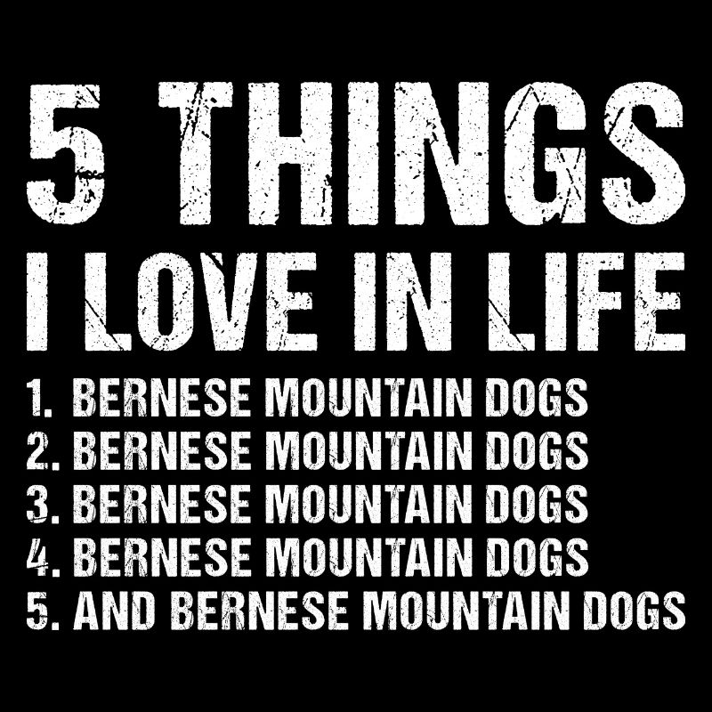 5 choses que j’aime dans la vie Bouvier Bernois