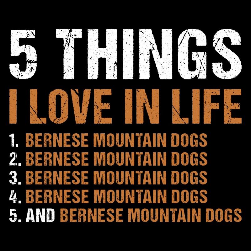 5 choses que j’aime dans la vie Bouvier Bernois