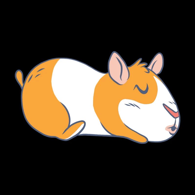 Cochon d'Inde cochon d'Inde