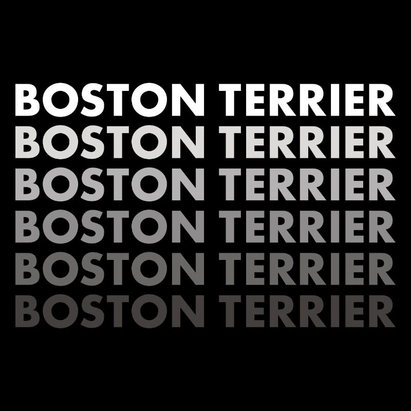 Boston Terrier