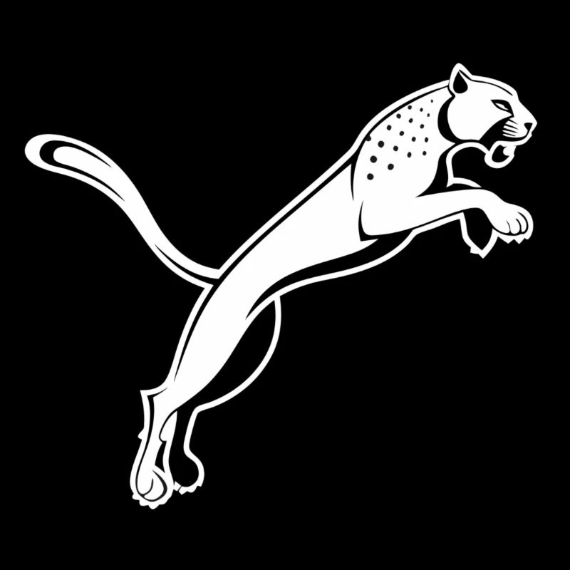 Leaping Leopard