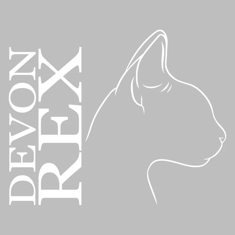 Devon Rex Profil Chat Chat Wilsigns