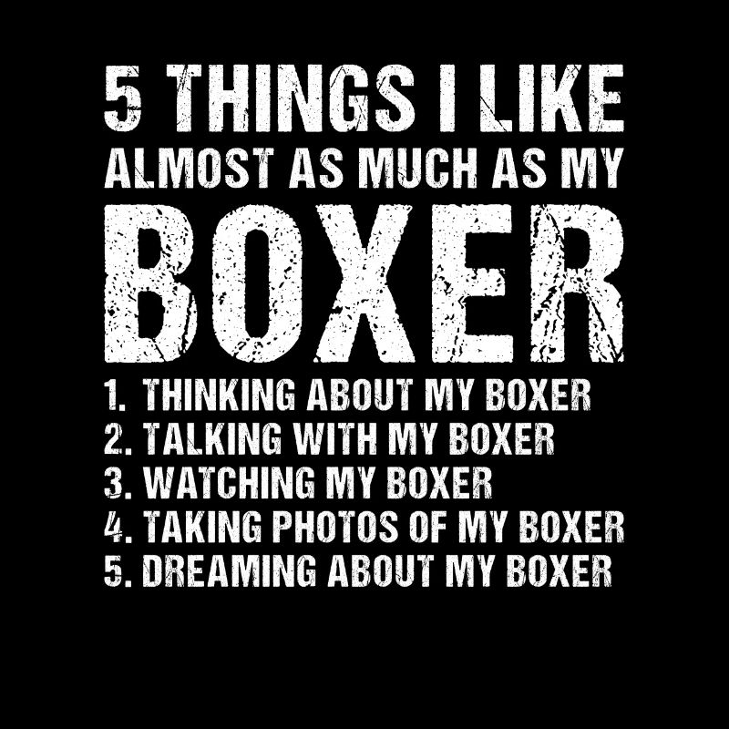 5 Things I Like As Much As My Boxer
