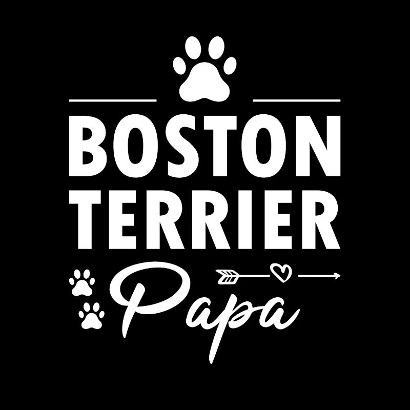 Boston Terrier Papa