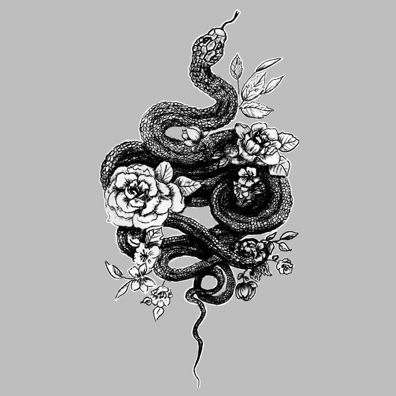 Schlange -Snake - Ballpython - Retro Tattoo Look