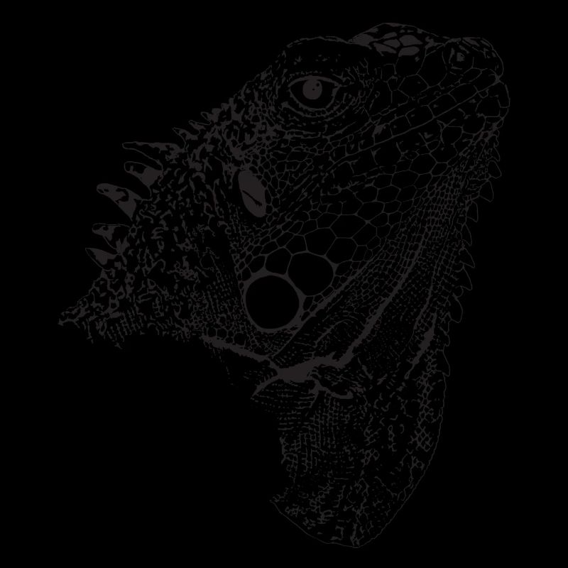 Leguan, Design von Mondwinkel
