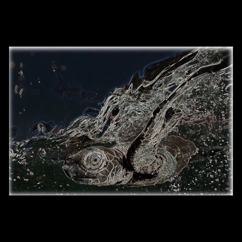 Schildi, Turtle