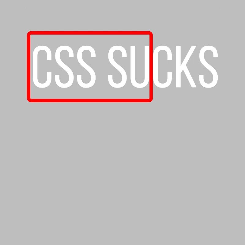 CSS sucks CSS programming funny programmers