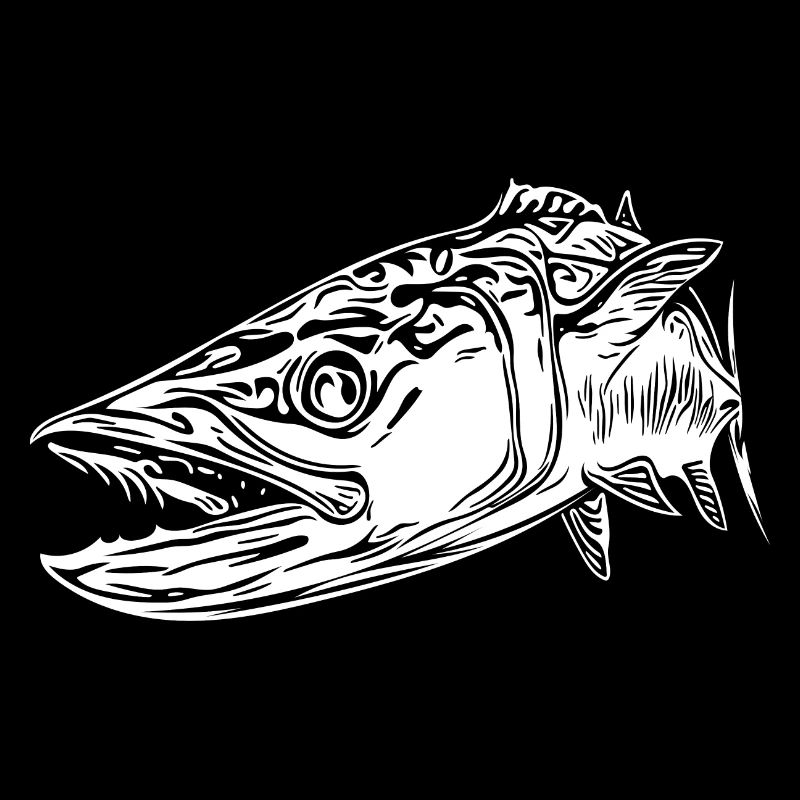 Large vintage barracuda with dangerous teeth