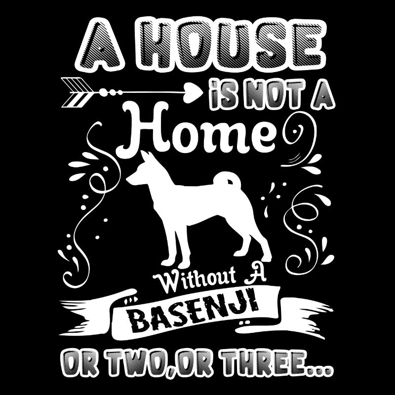 Basenji Home Without Basenji
