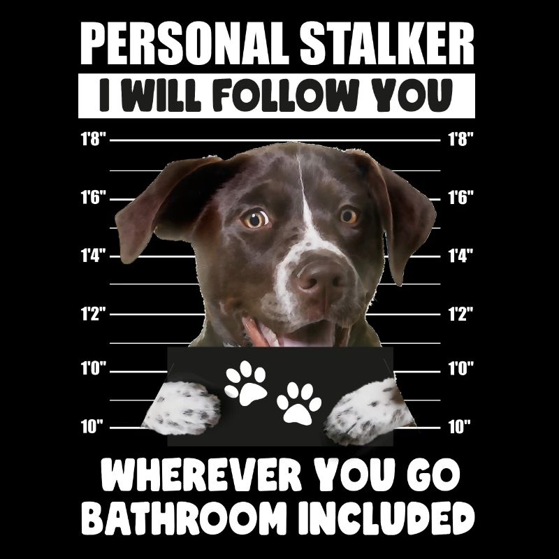 Personal Stalker Dog German Shorthaired Pointer