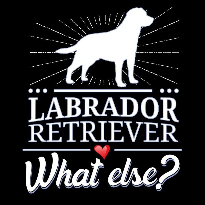 Labrador Retriever what else?