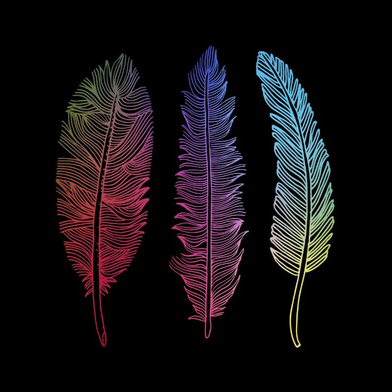 Gift feather bird feather Indian Style