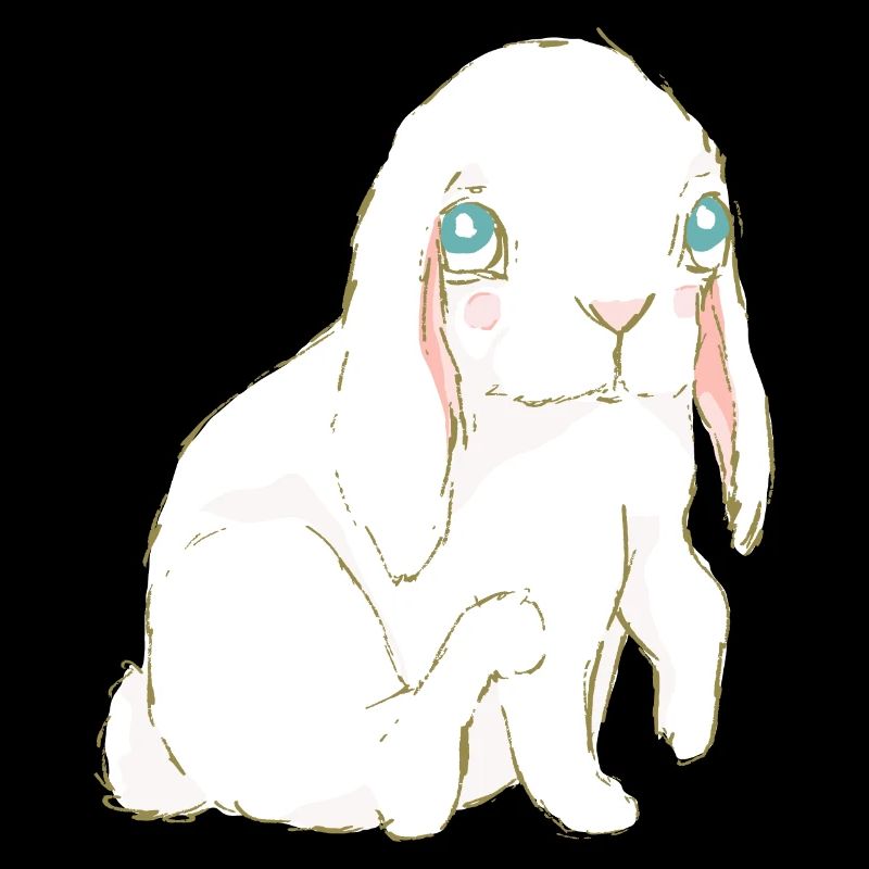 Hase Bunny