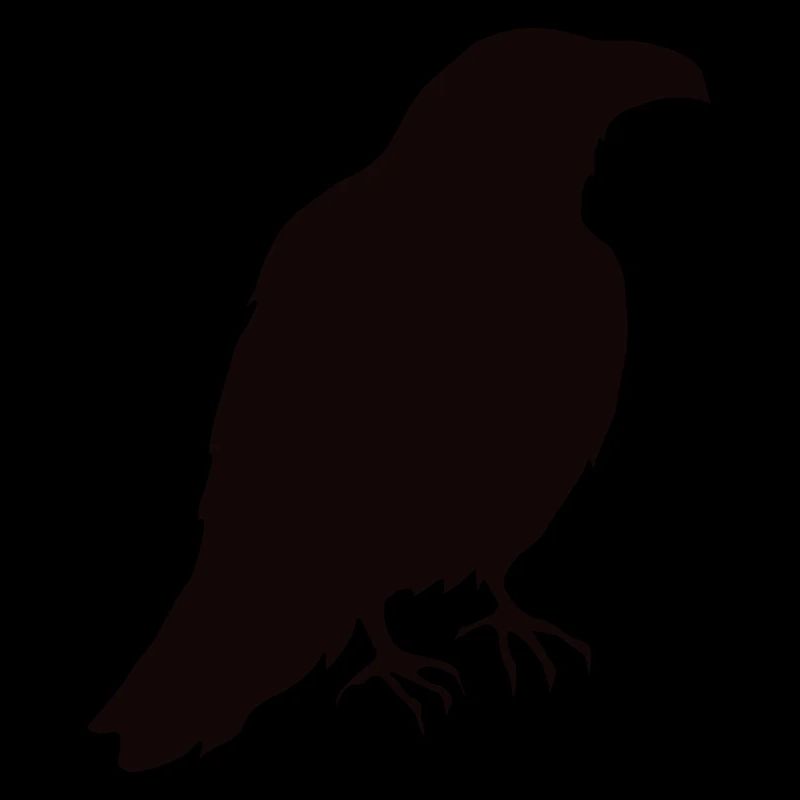 Un corbeau est assis dans le profil
