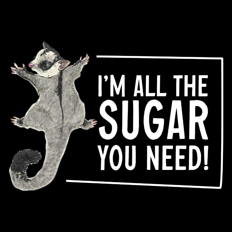 Kurzkopfgleitbeutler Sugar Glider
