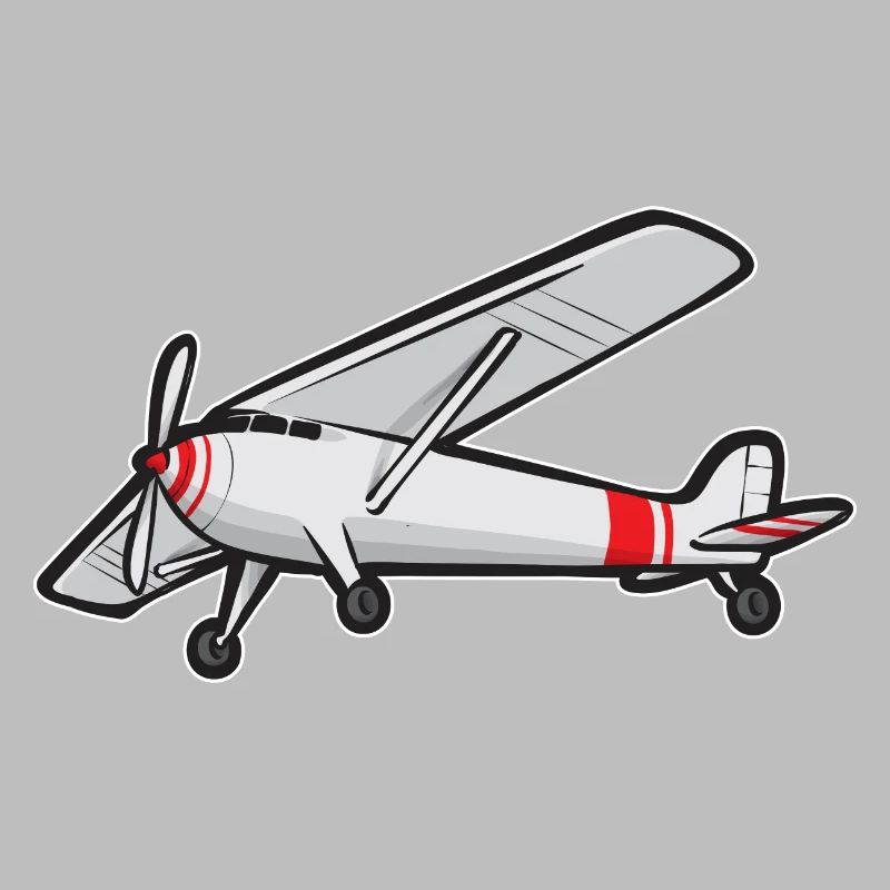 Modèle d’avion télécommandé