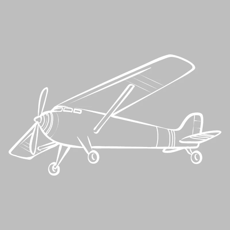 Modèle d’avion télécommandé